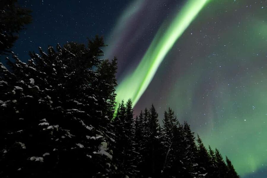 From Tromsø: Northern Lights Visit at Camp Tamok - Walking around Camp Tamok after dark