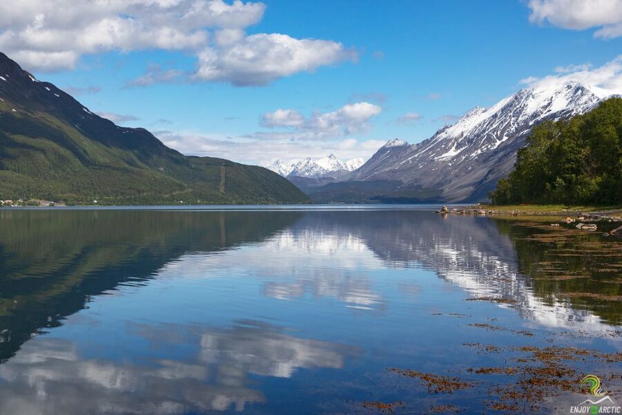 From Tromso: Norwegian Fjords Half-Day Tour - Quick facts about the Kvaløya outing