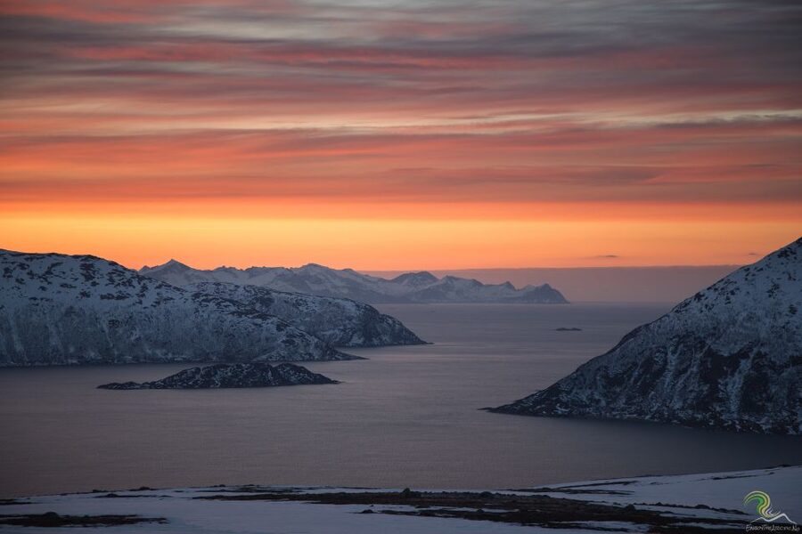 From Tromso: Norwegian Fjords Half-Day Tour - Why the guide makes a major difference