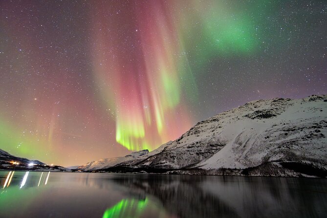 From Tromsø: OFFICIAL Northern Lights Safari by Minibus - Key points before you book