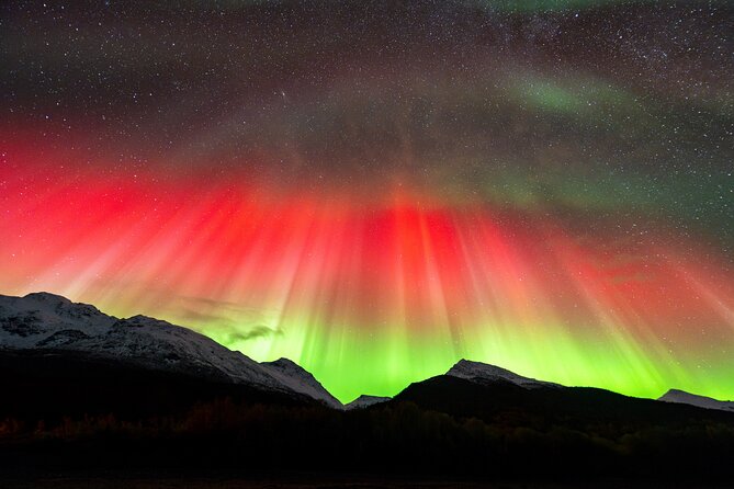 From Tromsø: OFFICIAL Northern Lights Safari by Minibus - A flexible chase from central Tromsø
