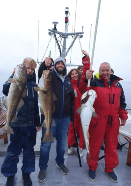 From Tromso: Polar Fishing Adventure - From Tromsø Toward Hella and Kvaløya