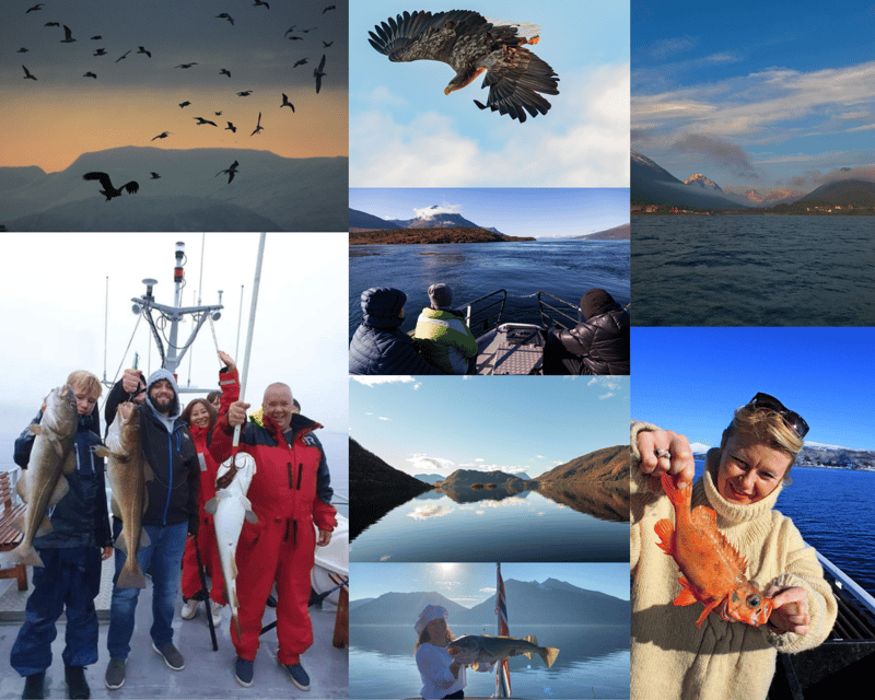 From Tromso: Polar Fishing Adventure - Fishing Near Tønsvik and Changing Spots