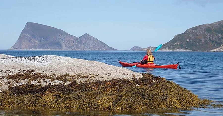 From Tromsø: Sea Kayaking Tour at Sommarøy with Transfer - Who will enjoy this Sommarøy outing