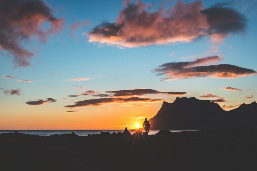 From Tromsø: Senja and Kvaløya Arctic Day Trip with Lunch - Who should book this outing?