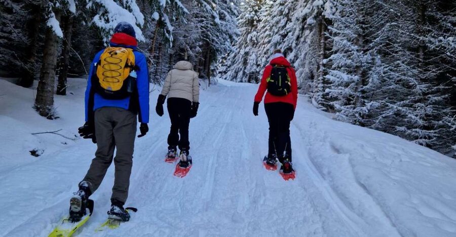 From Tromsø: Snowshoe Hike in the Arctic - From Tromsø’s waterfront to Ersfjordbotn