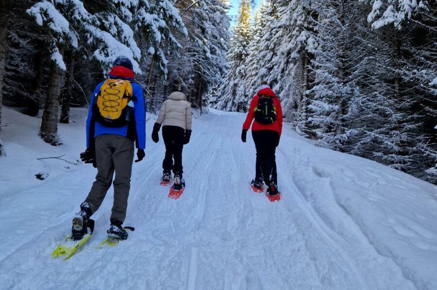 From Tromsø: Snowshoe Hike in the Arctic - A nature lesson, not just a climb