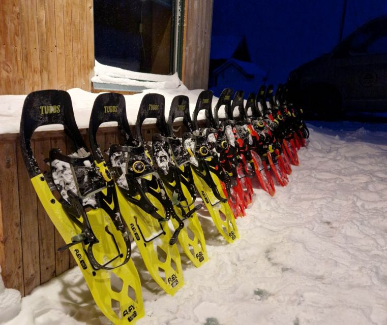 From Tromsø: Snowshoe Hike in the Arctic - What the $157 price includes