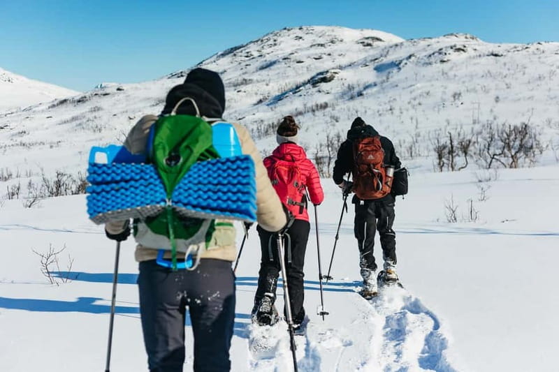 From Tromsø: Snowshoeing Hike with Picnic Lunch and Photos - Is $152 a fair price?