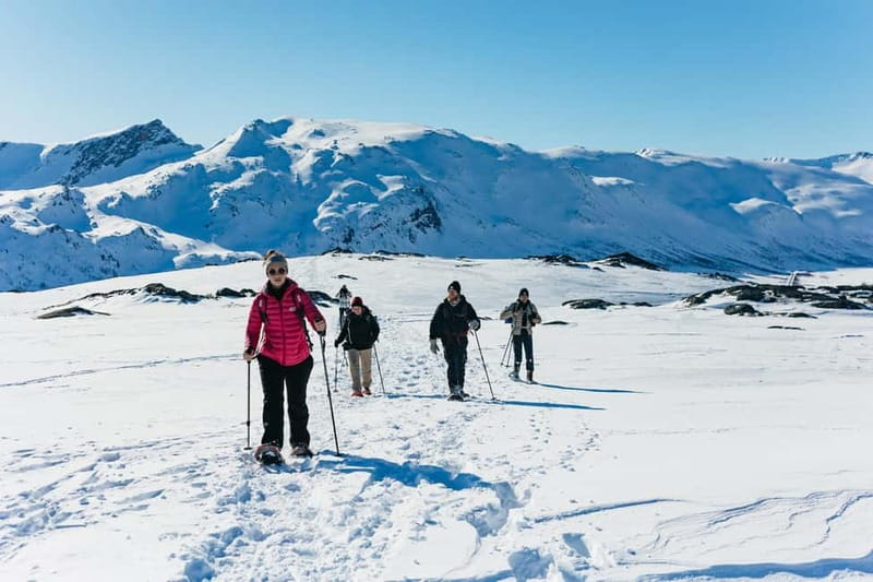 From Tromsø: Snowshoeing Hike with Picnic Lunch and Photos - What the three-hour hike feels like