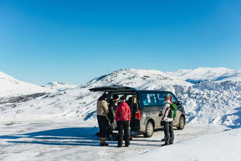 From Tromsø: Snowshoeing Hike with Picnic Lunch and Photos - Guides make the difference