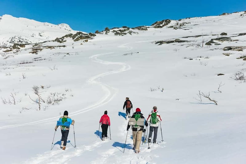 From Tromsø: Snowshoeing Hike with Picnic Lunch and Photos - Photos are a useful extra