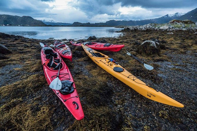 Full Day Combo Kayak and Rappel - Northern Explorer - Rappelling Down the Cliffs