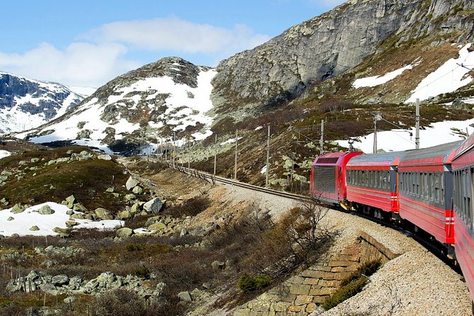Full Day Guided Roundtrip From Bergen To Sognefjord With Flam Railway - The Flåm Railway and the return to Bergen