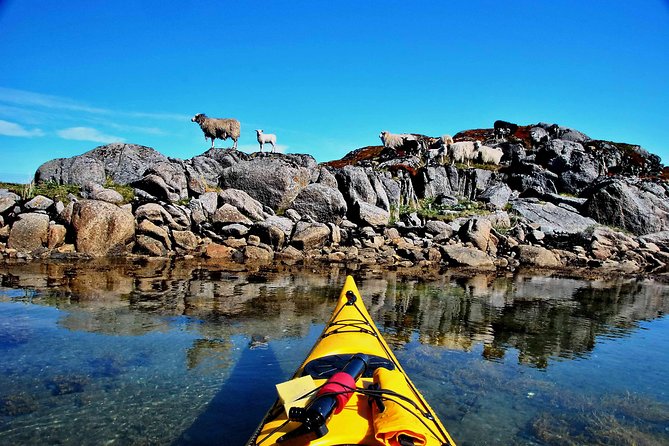 Full Day Kayak-Northern Explorer - Is the Northern Explorer kayak trip worth booking?