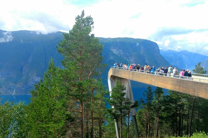 Full Day Private Tour to Flam with Pick Up - The Flåm Railway from Flåm to Myrdal