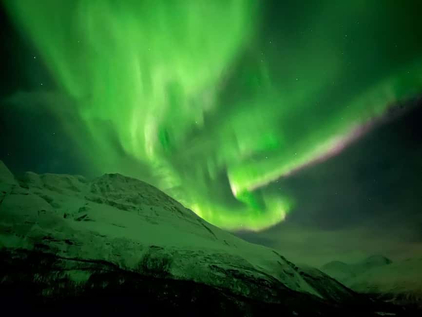 Full Night Magic of the Arctic Lights in Tromso - Why the minibus matters in Tromsø