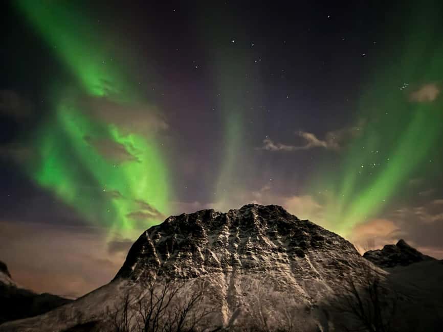 Full Night Magic of the Arctic Lights in Tromso - Is $186 a fair price?