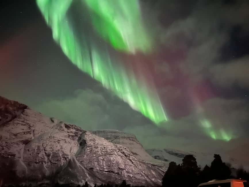 Full Night Magic of the Arctic Lights in Tromso - Who should book this tour?