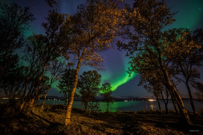 Full Night Magic of the Northern Lights in Tromso - Key points to know before booking