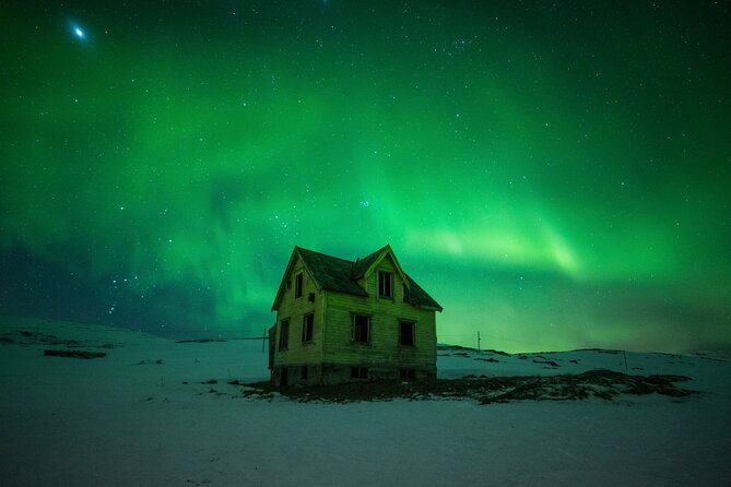 Full Night Magic of the Northern Lights in Tromso - Why the minibus matters around Tromsø