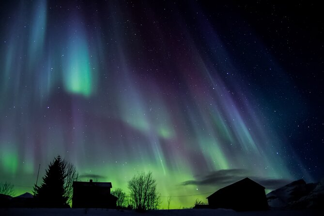 Full Night Magic of the Northern Lights in Tromso - How much value do you get for $180.94?