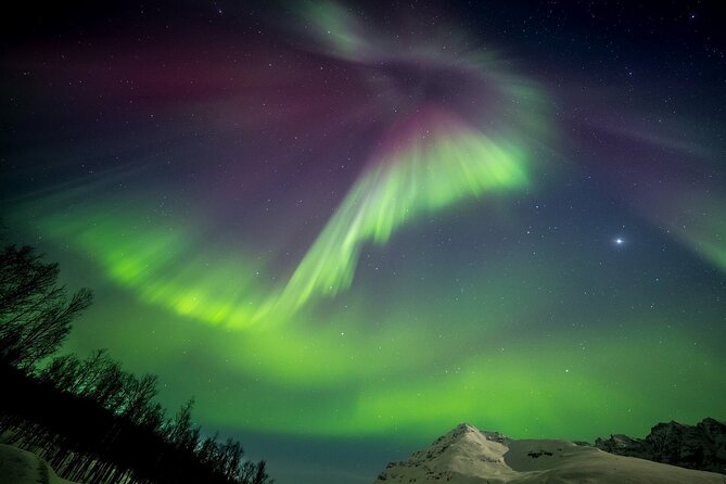 Full Night Magic of the Northern Lights in Tromso - Who should book this outing?