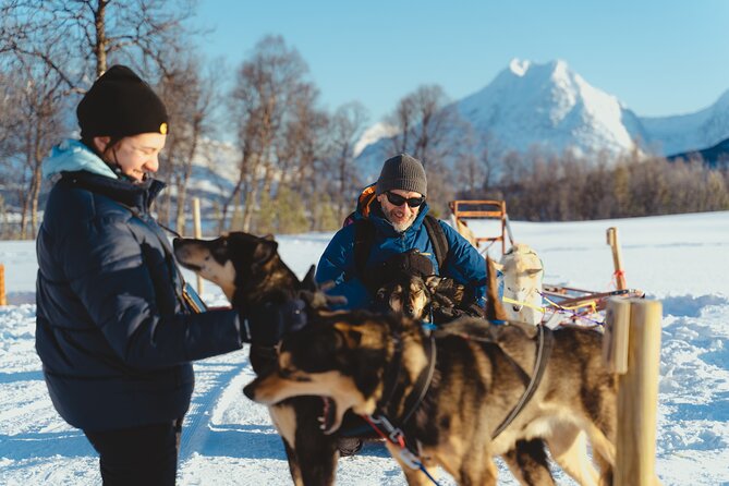 Fun & Easy Dog Sledding Adventure from Tromsø - Noon Tour - A snowy route with Lyngen Alps views