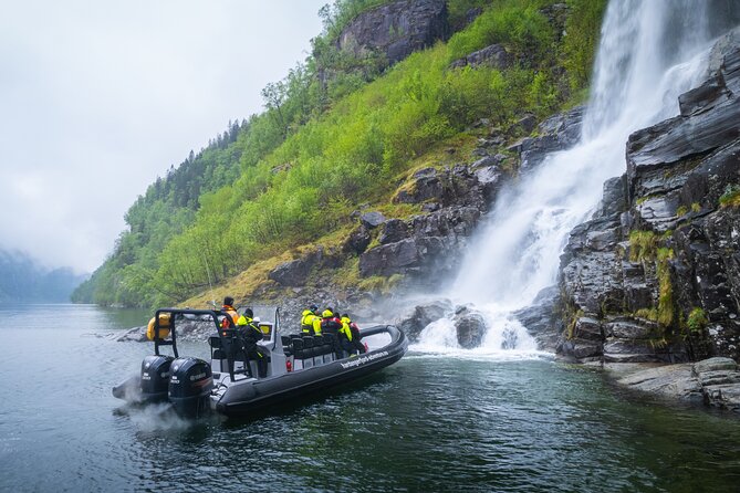 Fyksesund majestic RIB Adventure from Øystese - Key points to know before you book