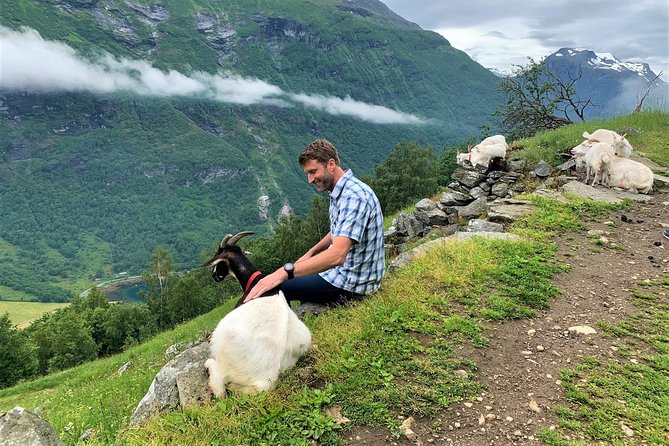 Geiranger by Royal route, 5 hours with visiting a high-mountain farm - Why this five-hour Geiranger route works