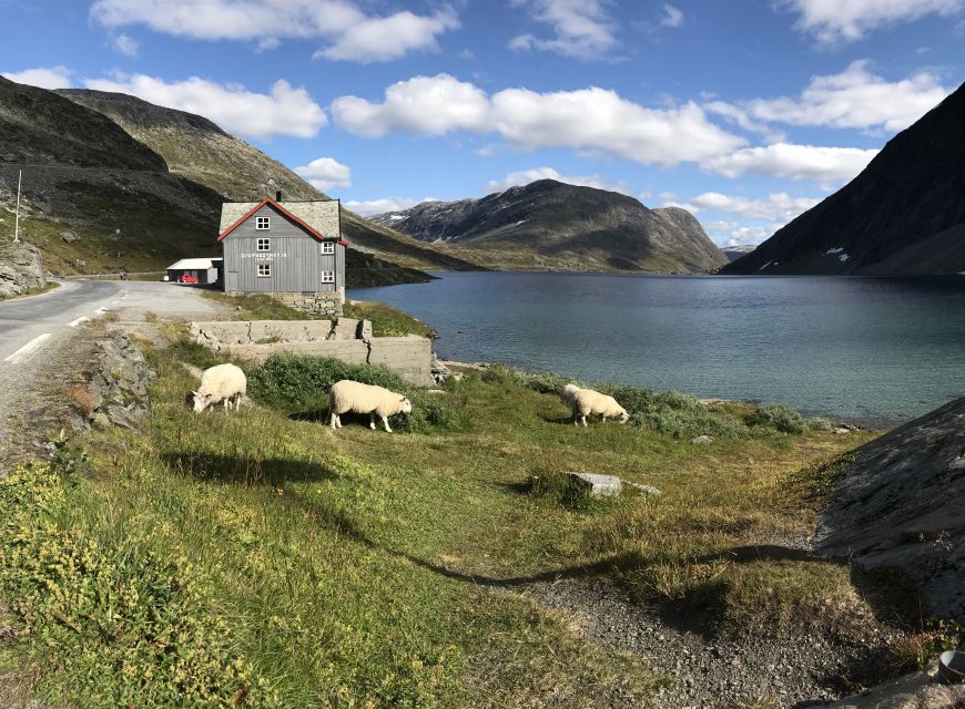 Geiranger: Dalsnibba, Flydalsjuvet, Eagle Bend & Fjords Tour - Djupvatnet Lake and the high mountain road