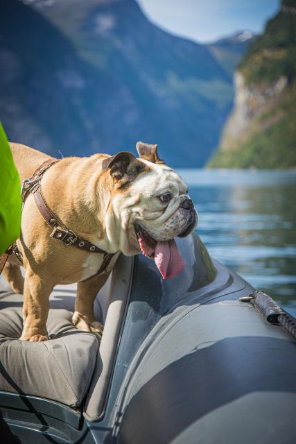 Geiranger: Guided Geirangerfjord Boat Tour - What the electric RIB feels like on the water