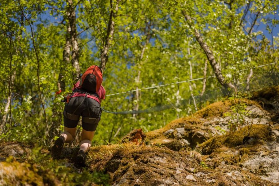 Geiranger: Rappelling tour with epic view - Starting beside Dynamite Waterfall