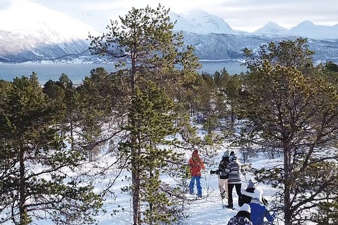 Guided easy snowshoeing with a visit to local café - What the easy route really means