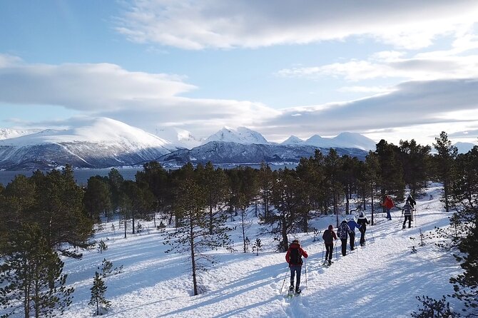 Guided easy snowshoeing with a visit to local café - A practical taste of local winter life