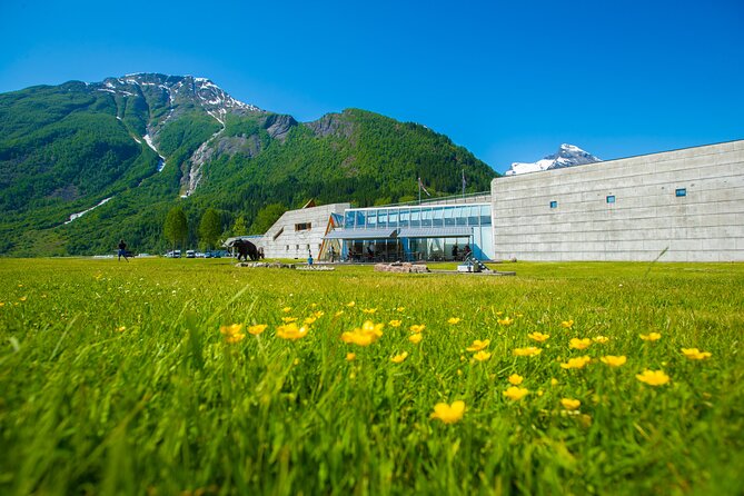 Guided Fjord & Glacier Tour - From BERGEN - Why this Bergen day trip covers so much