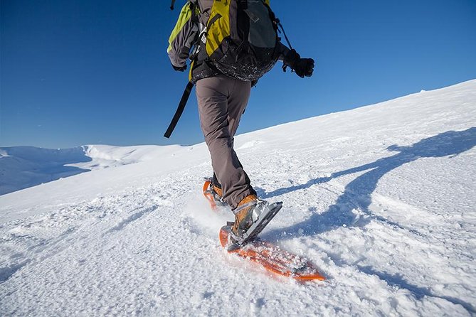 Guided Morning Snowshoe Hike with Huskies - Key points to know before you book