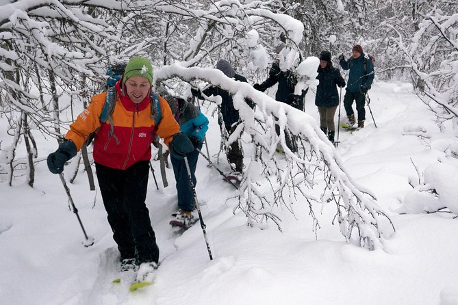 Guided Snowshoe Walk on Tromsoya Island in Tromso - A soft introduction to Arctic snowshoeing