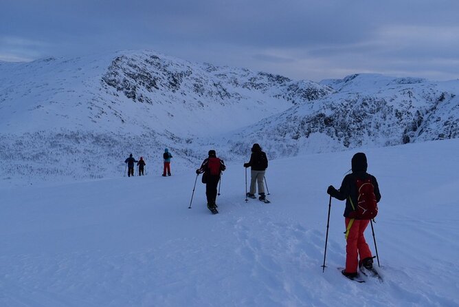 Guided Snowshoe Walk on Tromsoya Island in Tromso - What the 2.5-hour schedule really means