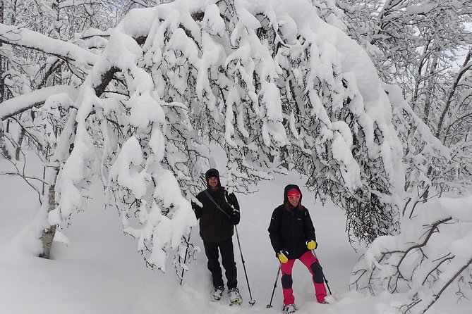 Guided Snowshoe Walk on Tromsoya Island in Tromso - Is the $118.77 price fair?