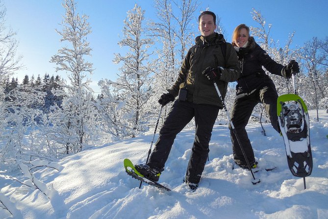 Guided Snowshoe Walk on Tromsoya Island in Tromso - Birch woods, open views, and local stories