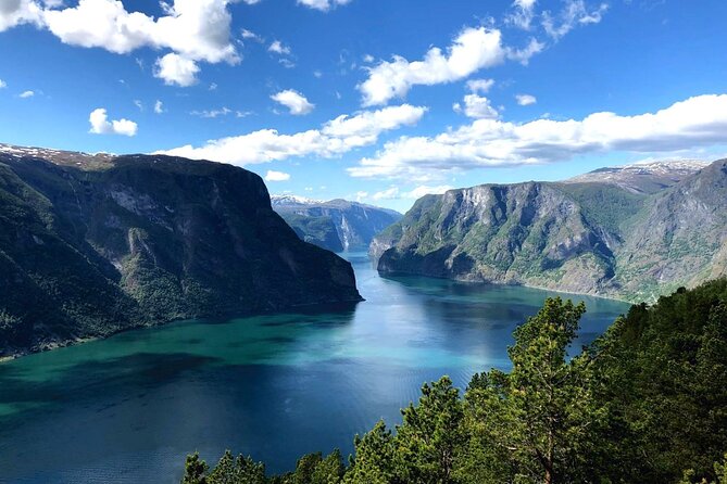 Guided Tour To Nærøyfjorden, Flåm And Stegastein - Viewpoint Cruise - Why this Bergen fjord tour covers so much