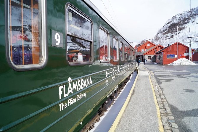 Guided tour - Viking Village, Nærøyfjord Cruise and Flåm Railway - The Flåm Railway to Myrdal