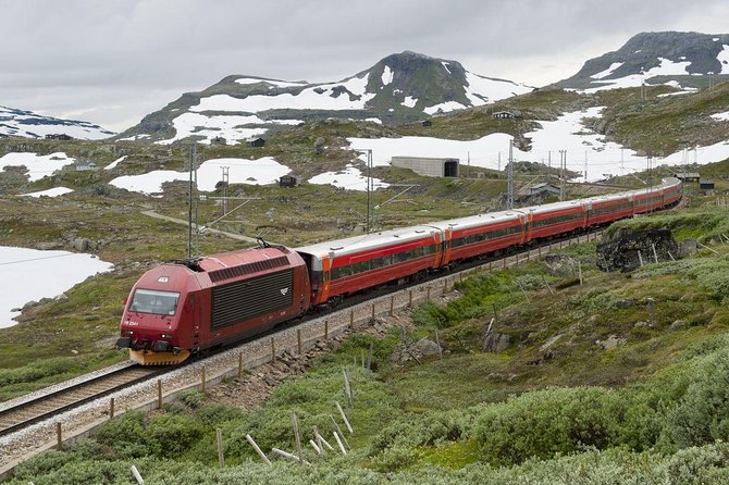 Guided tour - Viking Village, Nærøyfjord Cruise and Flåm Railway - What the $429.48 price buys you