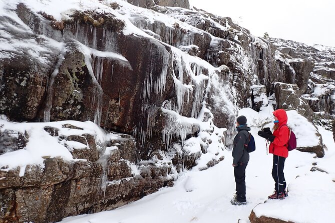 Guided winter hike to Pulpit Rock Preikestolen - Crampons, snow, and the right clothing