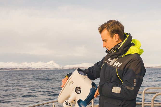 Half Day Arctic Fjord Cruise from Tromso - A comfortable way to see Tromsø from the water