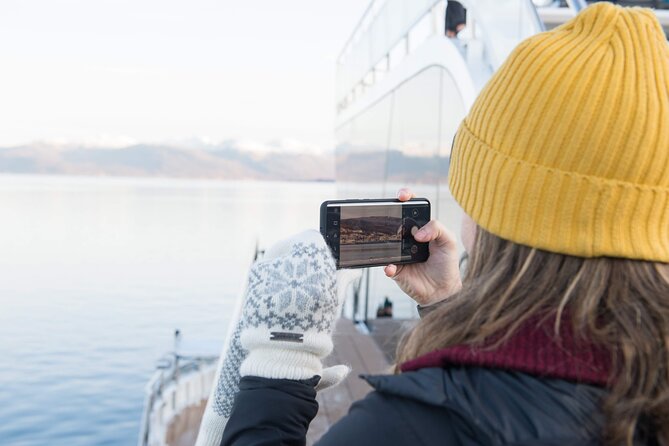 Half Day Arctic Fjord Cruise from Tromso - Ramfjorden brings scenery and wildlife