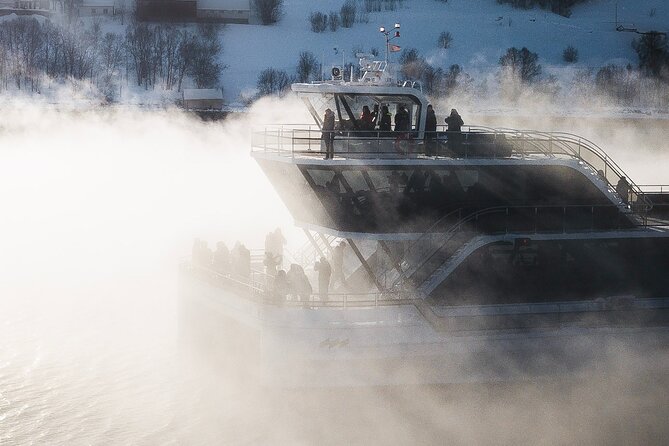 Half Day Arctic Fjord Cruise from Tromso - Booking, meeting point, and cancellations