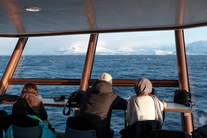 Half Day Arctic Fjord Cruise from Tromso - Should you book it?