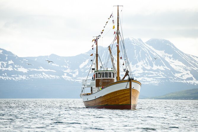 Half-Day Fishing & Fjord Cruise Adventure from Tromsø in Norway - The 9 a.m. departure from central Tromsø